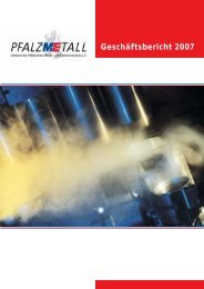 Geschäftsbericht 2007 - PfalzMetall