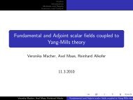 Fundamental and Adjoint scalar fields coupled to Yang-Mills theory