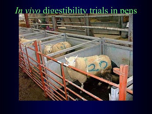 Digestibility - Department of Animal Sciences