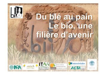 Optimiser la panification au levain - ITAB