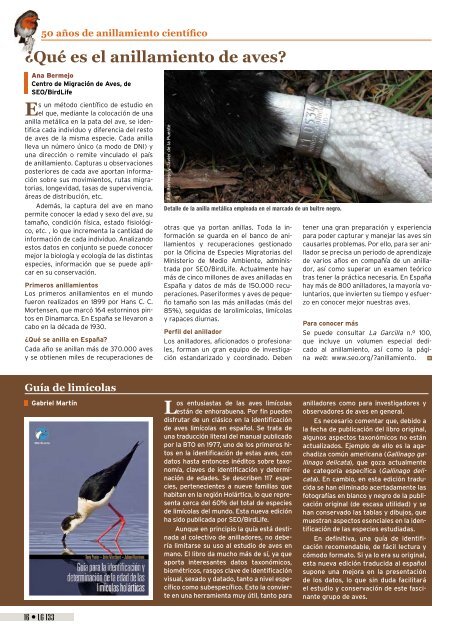 Medio siglo anillando aves para la ciencia - SEO/BirdLife