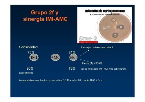 desafios microbiologicos en gram negativos multi y pan resistentes