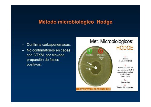 desafios microbiologicos en gram negativos multi y pan resistentes