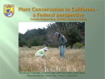 Connie Rutherford - California Native Plant Society