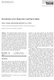 Diversification of ftsZ During Early Land Plant Evolution