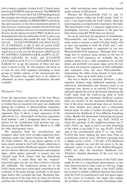 Diversification of ftsZ During Early Land Plant Evolution