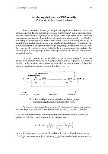 Metabolic Control Analysis - PBF