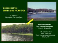 Lakescaping, Dr. Rebecca Schneider, click here. - Occainfo.org