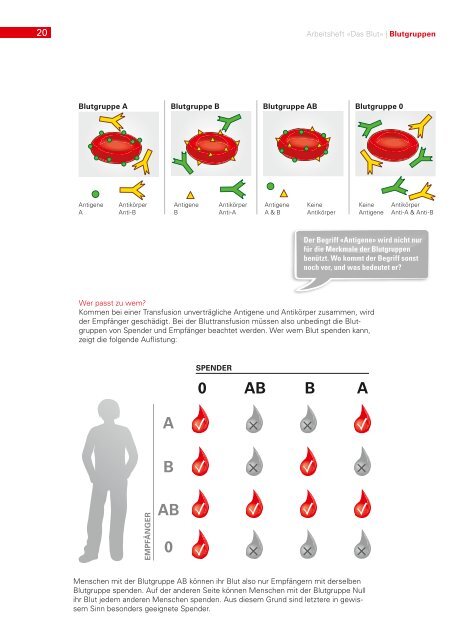 Das Blut Arbeitsheft - Weltblutspendetag 2013