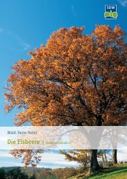 3015537 SDW Elsbeere.indd - Schutzgemeinschaft Deutscher Wald