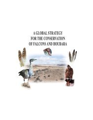aglobalstrategy for the conservation of falcons and houbara