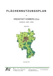 Begründung zum Flächennutzungsplan – Entwurf - Homberg (Efze)