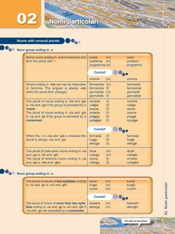 2. I nomi plurale irregolare_EN:2. I nomi plurale ... - Edilingua