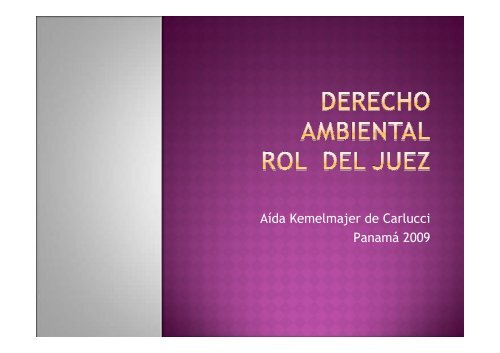 Jornada de Derecho Ambiental y Justicia 2009