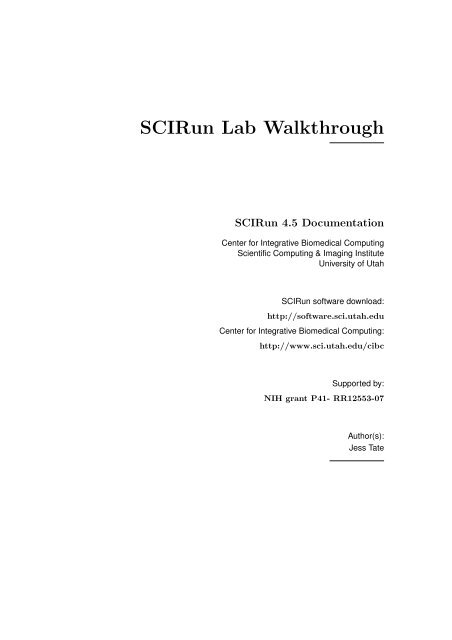 Lab I: Segmentation with Seg3D - Scientific Computing and Imaging ...