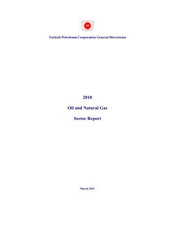 2010 Oil and Natural Gas Sector Report - TPAO