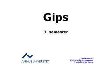 Gips I