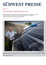 Wie Sonnenlicht ungetrübt zu Strom wird