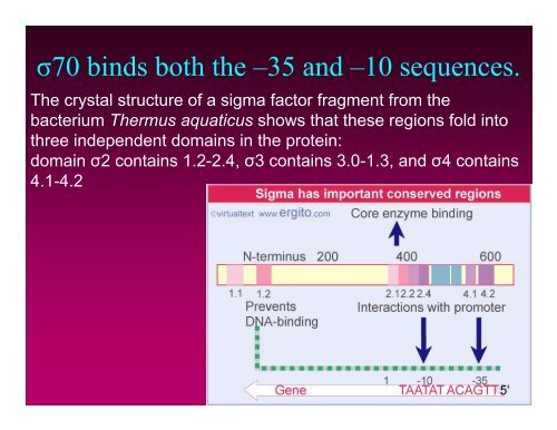 Transcription