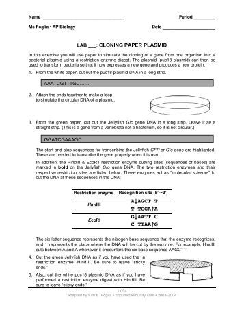Essays On Science And Religion Human Cloning Persuasive Essay Quot Free Essays And Papers How To Write A Thesis For A Persuasive Essay also Learning English Essay Writing Book Review Public Services At The Crossroads Essay On Cloning Business Essay Writing