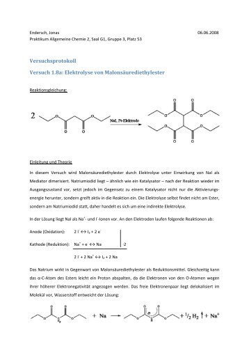 Versuchsprotokoll Versuch 1.8a: Elektrolyse von ...