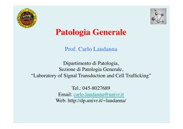 (B) Lezioni Patologia Generale - ImmunitÃ , Infiammazione, Ferite ...