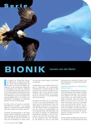 Bionik - Lernen von der Natur