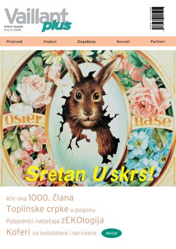 Vaillant plus I 2008 (1.33 MB)