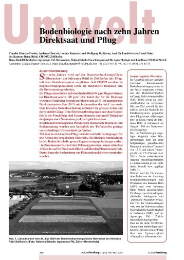 Bodenbiologie nach 10 Jahren Direktsaat und Pflug - Kanton Bern
