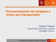 Processamento de Imagem e VisÃƒÂ£o por Computador