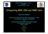 Integrating MEG, EEG and fMRI data