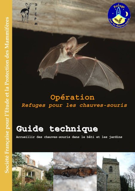 Gîte à chauves-souris en béton de bois