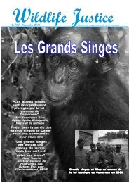 Cliquez Ici La Montagne Des Singes