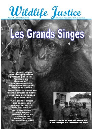 Les grands singe et repression au Cameroun en 2006 oun ... - LAGA