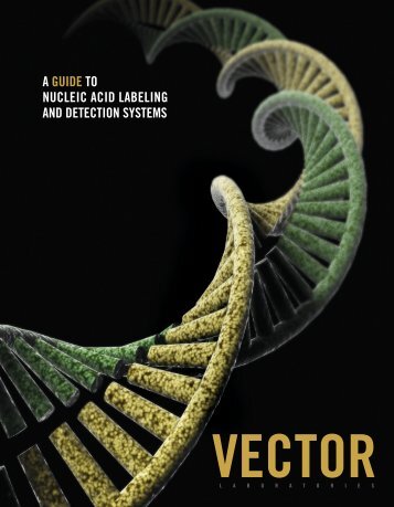 Download - Vector Laboratories