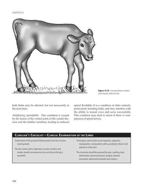 Clinical Examination of Farm Animals - CYF MEDICAL DISTRIBUTION