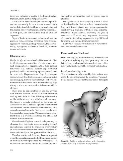 Clinical Examination of Farm Animals - CYF MEDICAL DISTRIBUTION