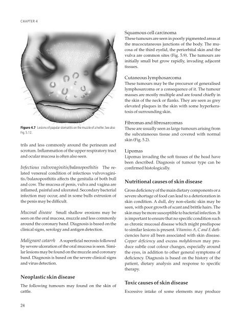 Clinical Examination of Farm Animals - CYF MEDICAL DISTRIBUTION