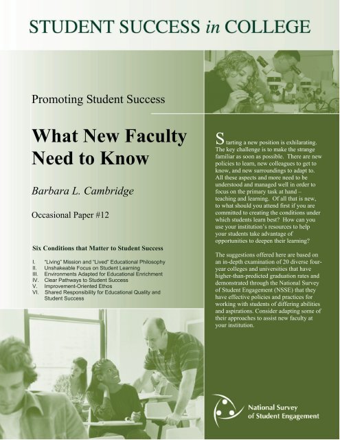 DEEP Practice Brief What New Faculty Need to Know - NSSE