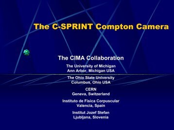 The C-SPRINT Compton Camera