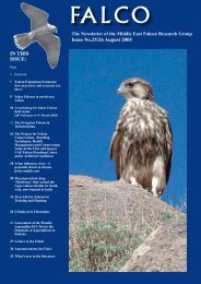 Falco 25 - International Wildlife Consultants Ltd.