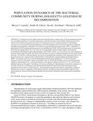 population dynamics of the bacterial community during dolioletta ...