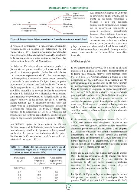 Micronutrientes en la Fisiología de las Plantas - International Plant ...