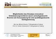 Vortrag als PDF (714 KB) - ibi