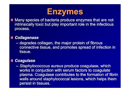 PATHOGENESIS OF BACTERIAL INFECTION - LF