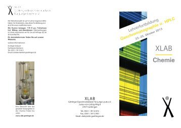 Flyer - XLAB