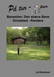 Banestien: Den skÃ¦ve Bane Grindsted - Randers - lgbertelsen.dk