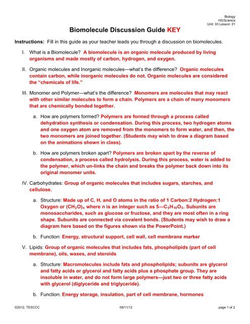 Biomolecule Discussion Guide KEY