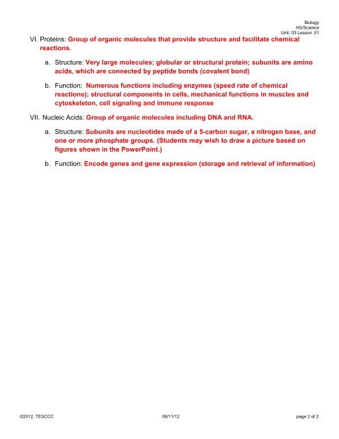 Biomolecule Discussion Guide KEY