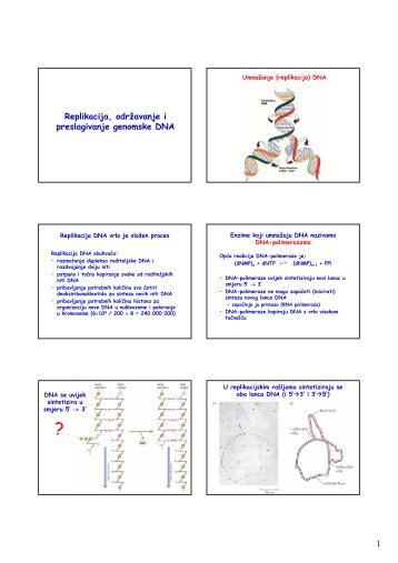 Replikacija i popravak DNA.pdf